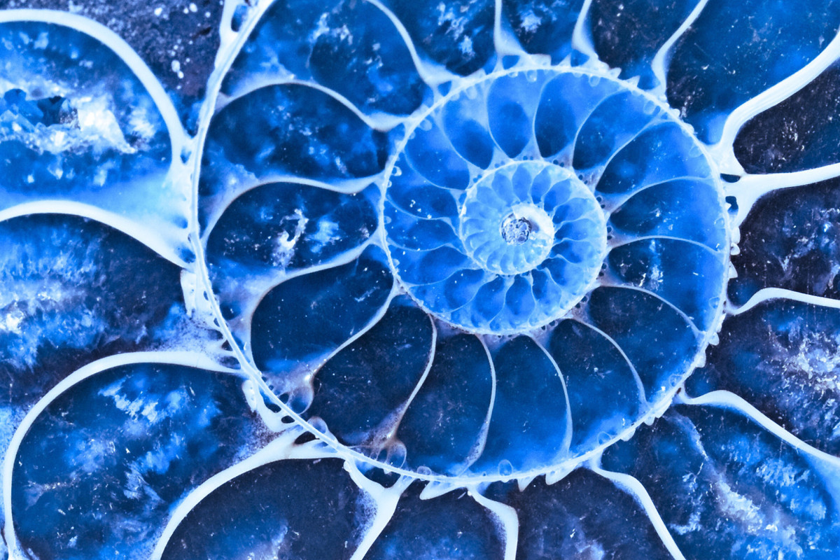 Bereich Palliativ- und Hospizarbeit